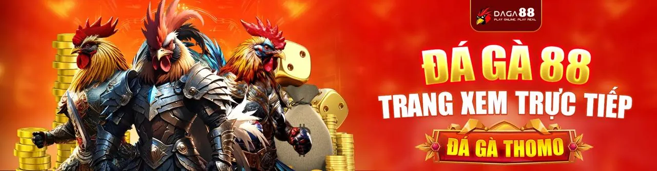 Đá gà trực tuyến hấp dẫn tại Sodo Nhà Cái